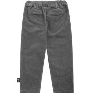 grey chino pants back